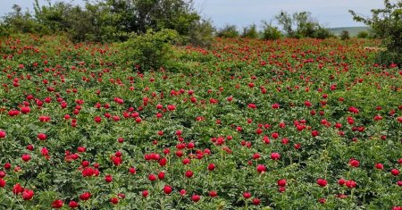 Locul de o frumusete rara despre care doar putini romani stiu! 