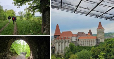 Pe urmele spectaculoasei cai ferate a padurenilor. Loc de poveste din Hunedoara, scos din anonimat VIDEO