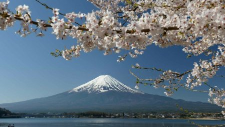 Un oras de la poalele Muntelui Fuji ridica o bariera care sa blocheze privelistea, disperat de stricaciunile turistilor VIDEO