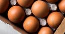 Mihaela Bilic ne dezvaluie cum sa folosim ouale ramase de la Paste. Cum e mai bine sa le mancam: oua fierte, ochiuri sau omleta?