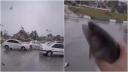 Orasul in care a inceput sa ploua cu pesti. Localnicii s-a trezit atacati de vietatile care cadeau din cer | VIDEO