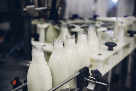 Cea mai mare fabrica de lapte din tara a fost dotata cu <span style='background:#EDF514'>ROBOT</span>i