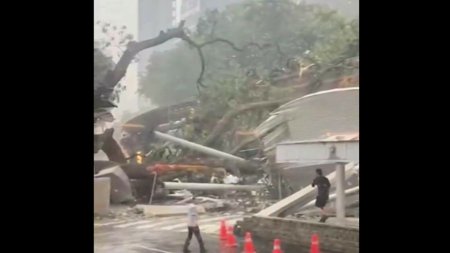 Momentul <span style='background:#EDF514'>SOCANT</span> in care un copac masiv se prabuseste peste un bulevard. O persoana a murit, mai multe masini avariate. VIDEO