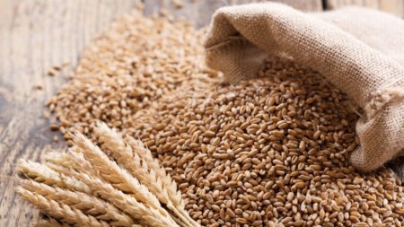 Vesti bune pentru fermieri: Cotatiile la cereale, in crestere, dupa luni bune