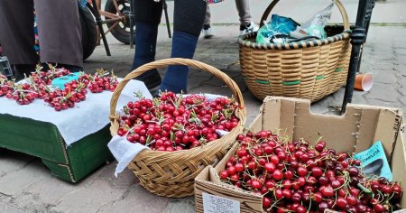 Galceava pentru cirese. Un producator este certat ca le da prea ieftin. 