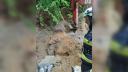 Un barbat din Valcea a murit dupa ce a fost prins sub un mal de pamant, in timp ce lucra la reconstructia unui drum forestier