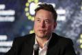 Seful Tesla cere 1,9 milioane de euro de la un adolescent de 14 ani. Motivul pentru care Elon <span style='background:#EDF514'>MUSK</span> l-a dat in judecata