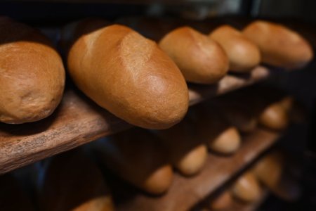Productia de paine din Tokyo, oprita dupa ce in compozitie au fost gasite resturi de sobolan