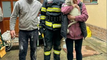 Nu degeaba se spune ca pisicile au 9 vieti: Misiune speciala de salvare a pisoiului Miezu din Brasov