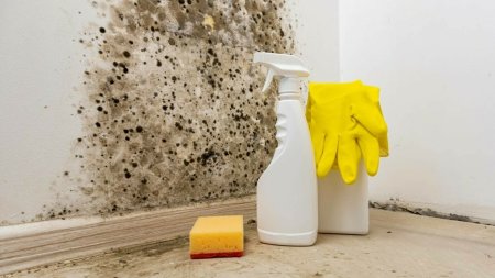 (P) 5 solutii impotriva mucegaiului din casa