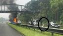 Aparitia unei lebede pe o autostrada aglomerata din Anglia a dus la un accident urmat de un incendiu | VIDEO