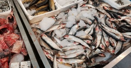 Pericol de moarte in pescarii! ANPC a restras tone de peste si preparate din peste alterate