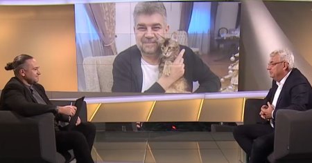 Tudose i-a daruit un animal de companie lui Ciolacu: Dupa 12 ore de stat la serviciu ai o treaba cu litiera la pisica
