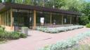 Dupa un deceniu de asteptare: S-au redeschis in Herastrau 2 pavilioane restaurate unde se pot admira gratuit plante exotice