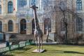Muzeul Antipa, al patrulea muzeu din Bucuresti care nu va participa la Noaptea Muzeelor pe 18 mai