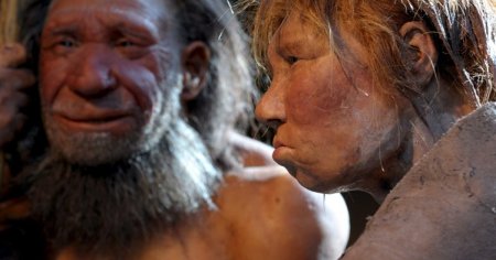 Virusurile care au dus la disparitia oamenilor de Neanderthal. Cercetatorii au gasit boli cu transmitere sexuala in oase din Siberia