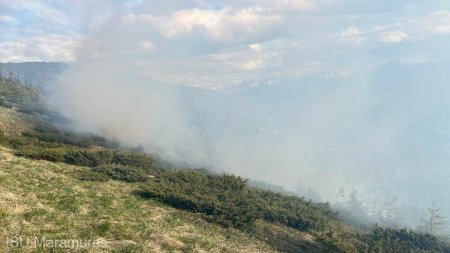 Incendiu puternic in Muntii Rodnei. Aproape sase hectare de padure si teren sunt afectate