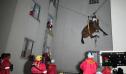 Pompierii au salvat iapa Esperança, aflata de 10 zile la etajul 3 al unei bloc, unde se refugiase de inundatiile devastatoare din Brazilia | VIDEO