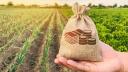 Subventii APIA 2024 | Data pana la care fermierii romani mai pot depune cererile
