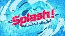Splash! Vedete la apa revine la Antena 1. Cine sunt primii concurenti anuntati