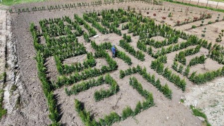 Labirint verde pentru cei mici, creat intr-o comuna din Dolj