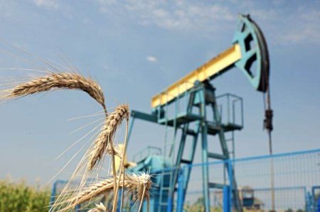 OMV Petrom: Impactul direct al tarifelor impuse de SUA asupra companiei va fi minor