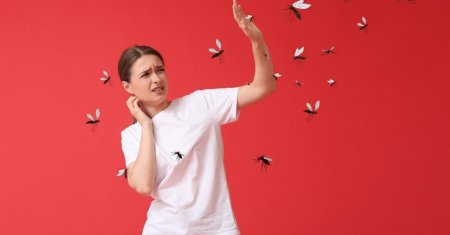 Scapa de tantari, muste si gandaci cu ajutorul unui repelent natural. 3 trucuri geniale pentru a alunga instantaneu insectele din casa ta