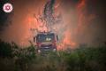 Haos pe drumuri: locuitorii fug de incendiile devastatoare din Israel. Razboiul cu plestinienii are o alta forma
