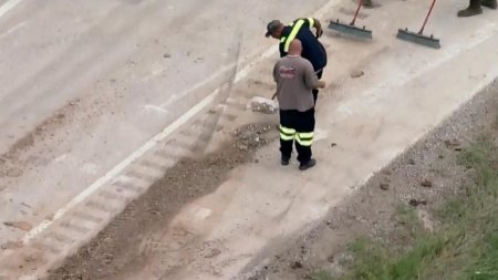 Opt milioane de monede de 10 centi au fost adunate cu lopeti si aspiratoare industriale de pe marginea drumului