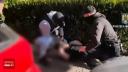 Droguri aduse din Spania, prin curier, confiscate de politisti. Urmau sa ajunga in statiunile de pe litoral