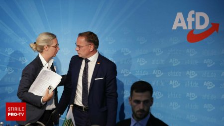 Serviciile secrete germane desemneaza AfD drept entitate extremista de dreapta confirmata