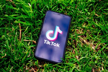 TikTok anunta ca a eliminat doua retele de influenta cu peste 33.000 de urmaritori, care manipulau electoratul din <span style='background:#EDF514'>ROMANIA</span>
