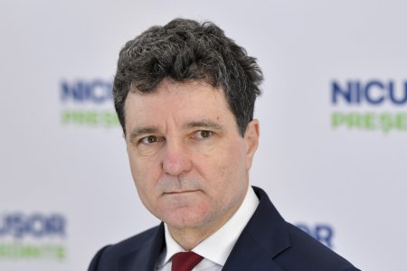 Ce spune Nicusor Dan despre pozitia pe care o va avea in Diaspora: O sa stam toata noaptea sa fim siguri