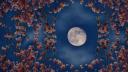 Ce este microluna, fenomenul astronomic spectaculos care va avea loc in acest weekend