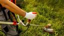 (P) Motocoasele electrice in lucrari de amenajare peisagistica: taieri precise fara fum si zgomot