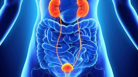 Tehnica revolutionara in tratarea adenomului de prostata la Spitalul Clinic de Nefrologie Dr. Carol Davila din Bucuresti