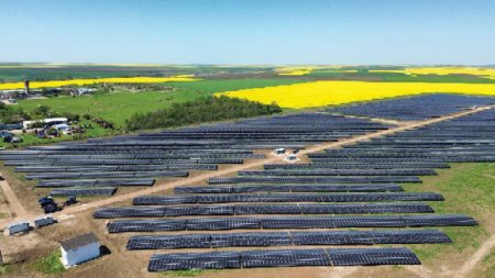 WALDEVAR depaseste pragul de 1,5 GW putere instalata in Romania. WALDEVAR a construit langa Alexandria un parc fotovoltaic de 17,76 MWp, unul dintre cele mai mari din tara