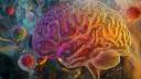 Legatura dintre herpes, o infectie aparent banala, ignorata de multi, si temuta maladie Alzheimer